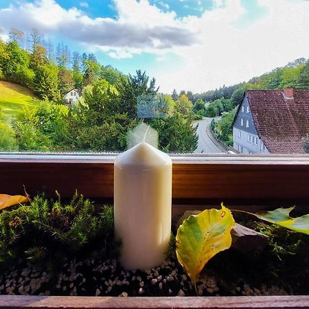 Gemuetliche Ferienwohnung Im Harz Бад Грунд Екстериор снимка