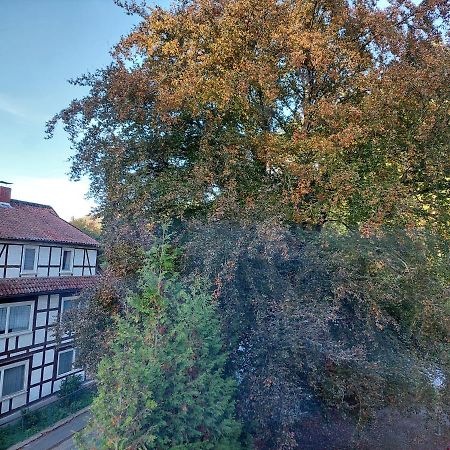 Gemuetliche Ferienwohnung Im Harz Бад Грунд Екстериор снимка