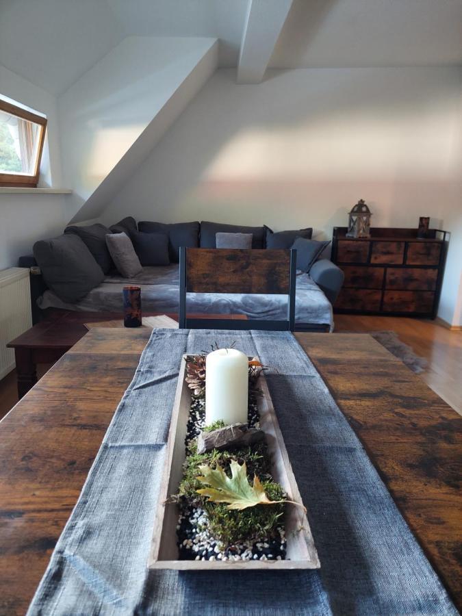 Gemuetliche Ferienwohnung Im Harz Бад Грунд Екстериор снимка