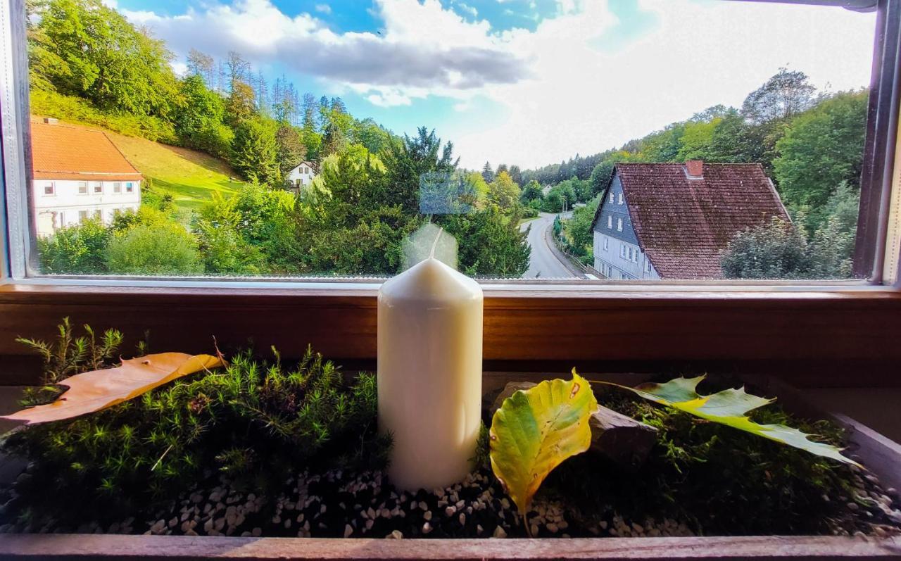 Gemuetliche Ferienwohnung Im Harz Бад Грунд Екстериор снимка